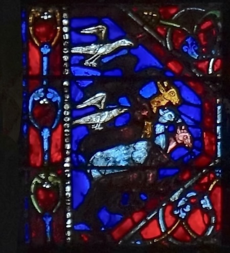 [7] des oiseaux et des animaux