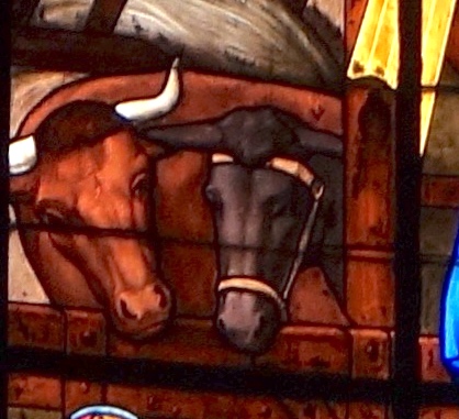La Nativité : le bœuf et l'âne - Eglise Notre-Dame - Versailles 78